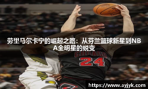 雷竞技官网地址